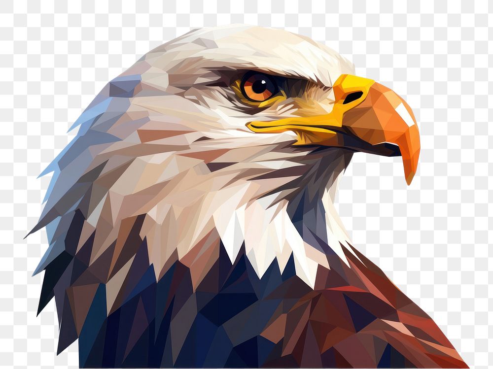 PNG Eagle animal bird beak. AI generated Image by rawpixel.