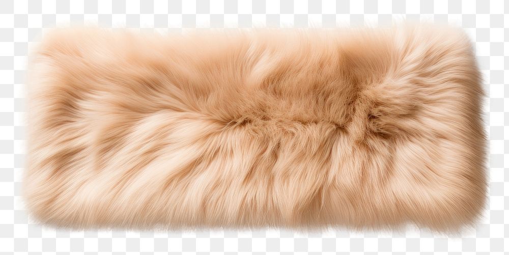 PNG  Fur softness clothing textile. AI generated Image by rawpixel.
