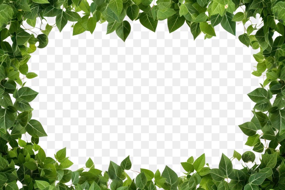 PNG  Green leaves backgrounds plant leaf. AI generated Image by rawpixel.