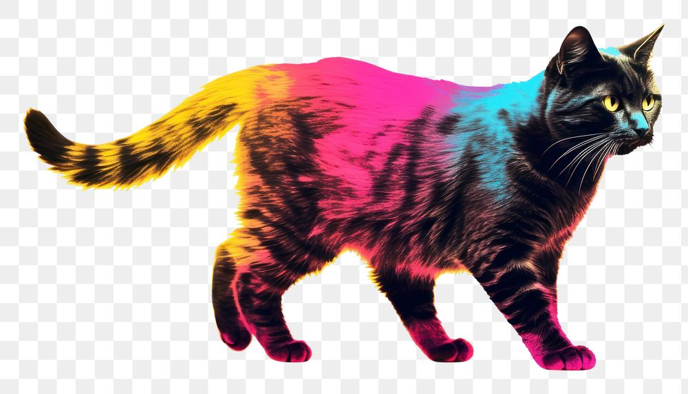 PNG Mammal animal pet cat. AI generated Image by rawpixel.
