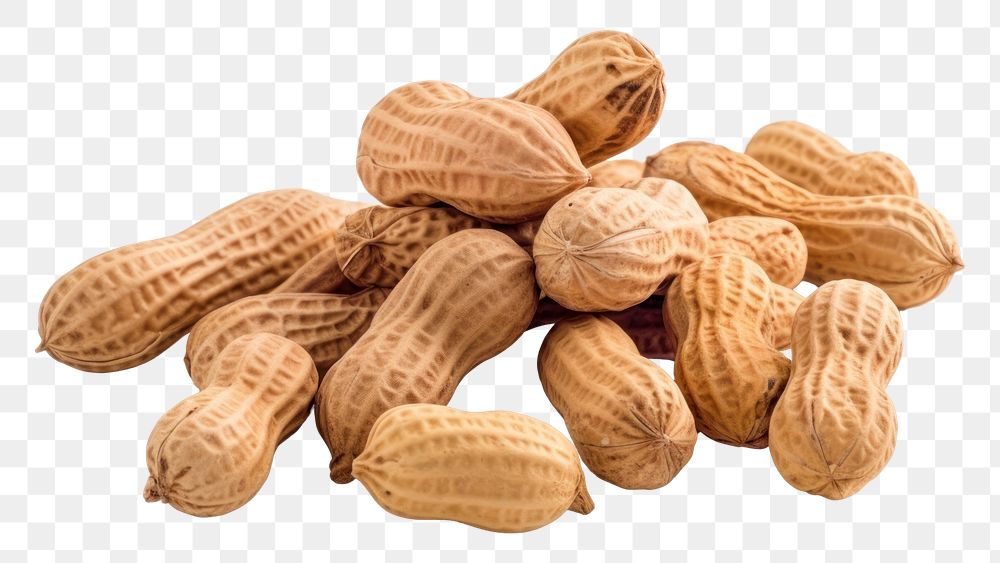 PNG  Peanuts food white background freshness. AI generated Image by rawpixel.