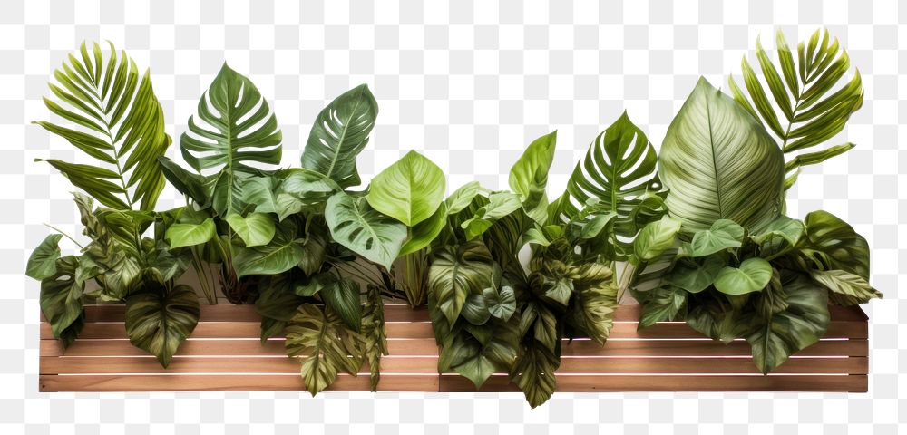 PNG  Tropical leaves fence plant leaf houseplant. AI generated Image by rawpixel.