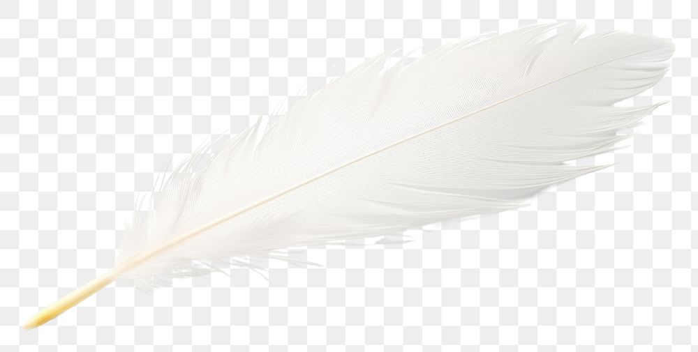 PNG  White feather white background lightweight accessories. AI generated Image by rawpixel.