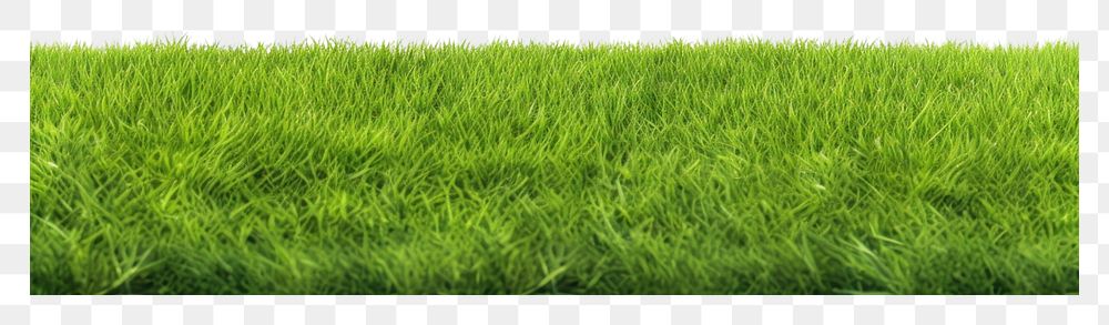 PNG  Green lawn grass plant tranquility. AI generated Image by rawpixel.