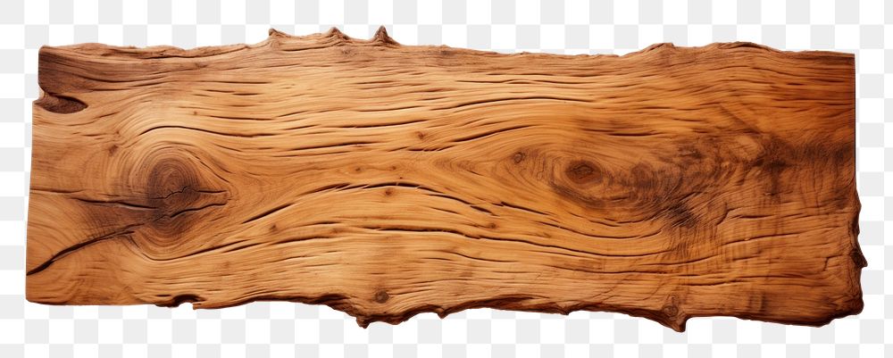 PNG  Wood png hardwood tree white background. AI generated Image by rawpixel.