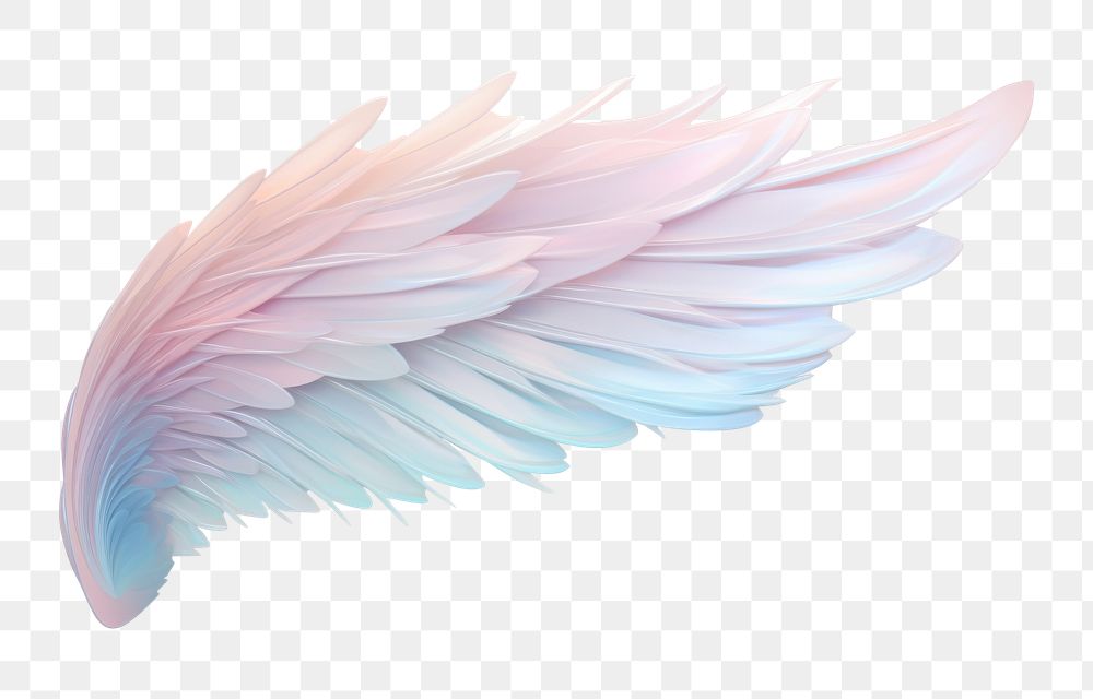 PNG Angel wing bird art lightweight