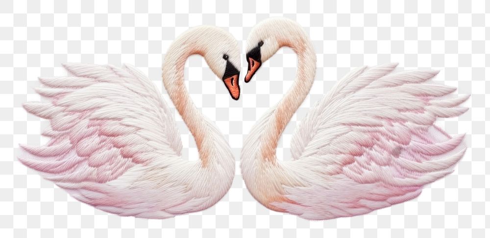 Flamingo animal bird swan