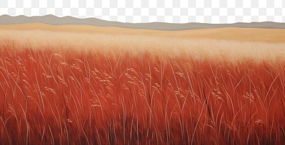 PNG Red Grass Meadow landscape grass outdoors. AI generated Image by rawpixel.