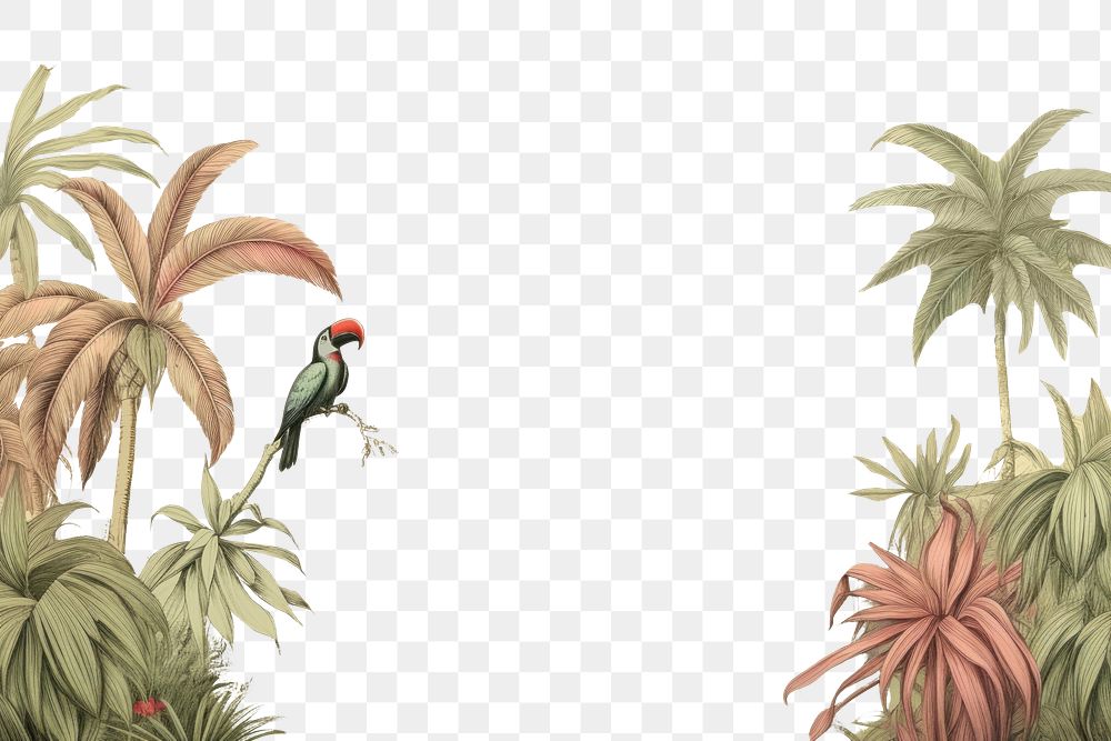 PNG  Drawing outdoors tropics nature. AI generated Image by rawpixel.