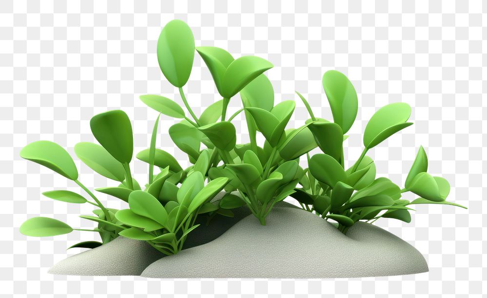 PNG Nature plant green herbs. AI generated Image by rawpixel.
