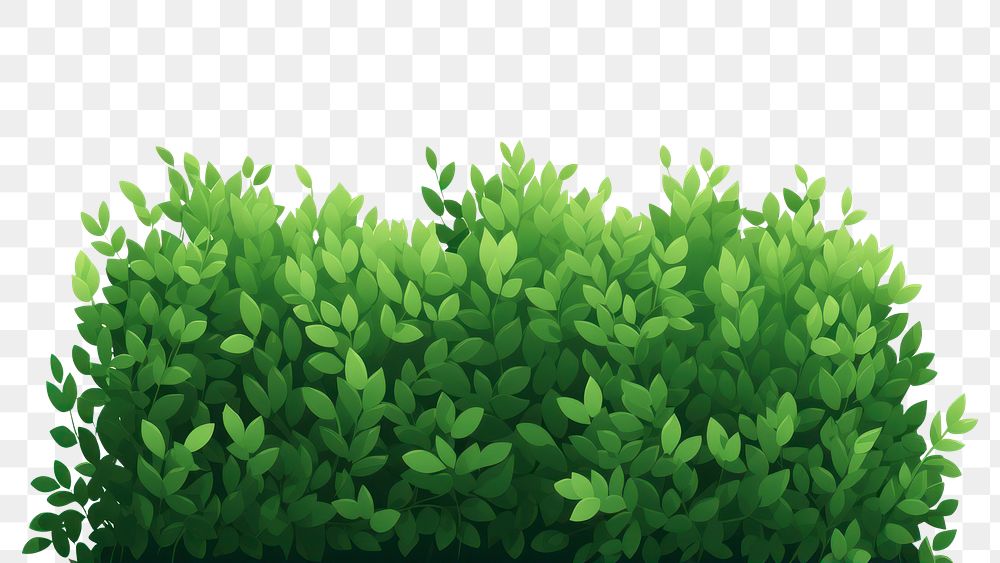 PNG  A garden shrub green nature plant. AI generated Image by rawpixel.