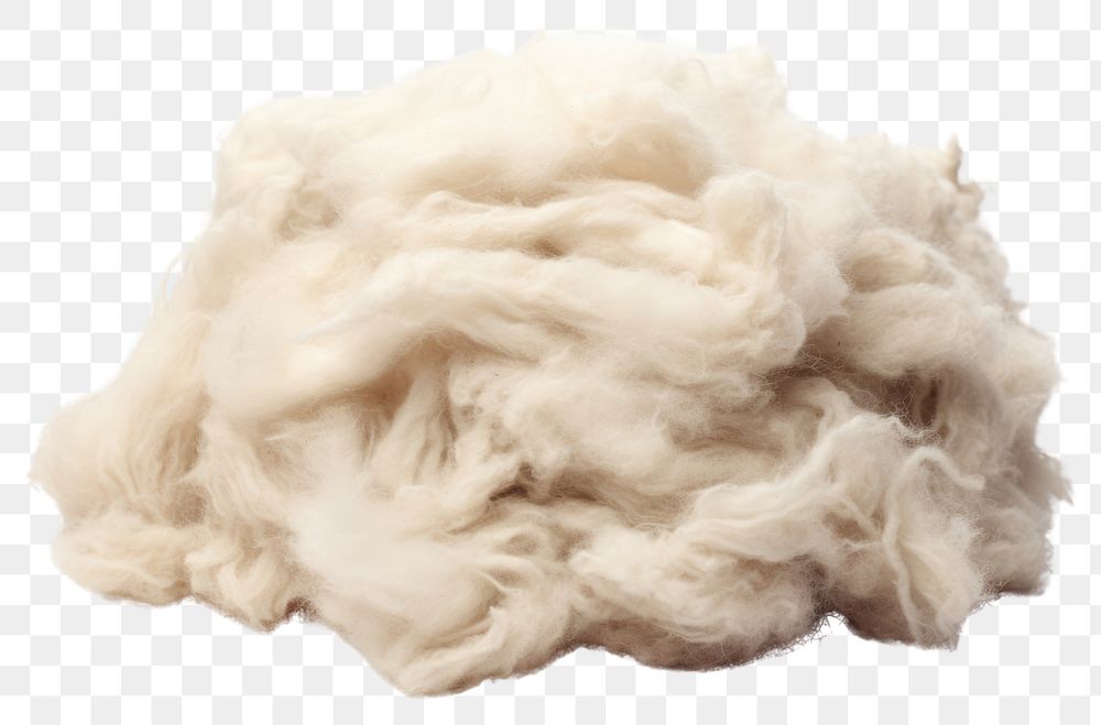 PNG Wool white white background material. AI generated Image by rawpixel.