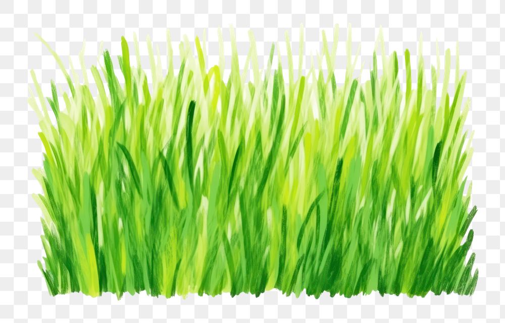 PNG Grass backgrounds plant green. AI generated Image by rawpixel.