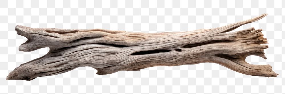 PNG  Driftwood plank white background simplicity pattern. AI generated Image by rawpixel.