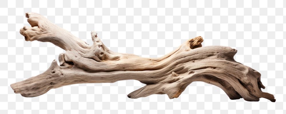 PNG Driftwood plank white background | Premium PNG - rawpixel