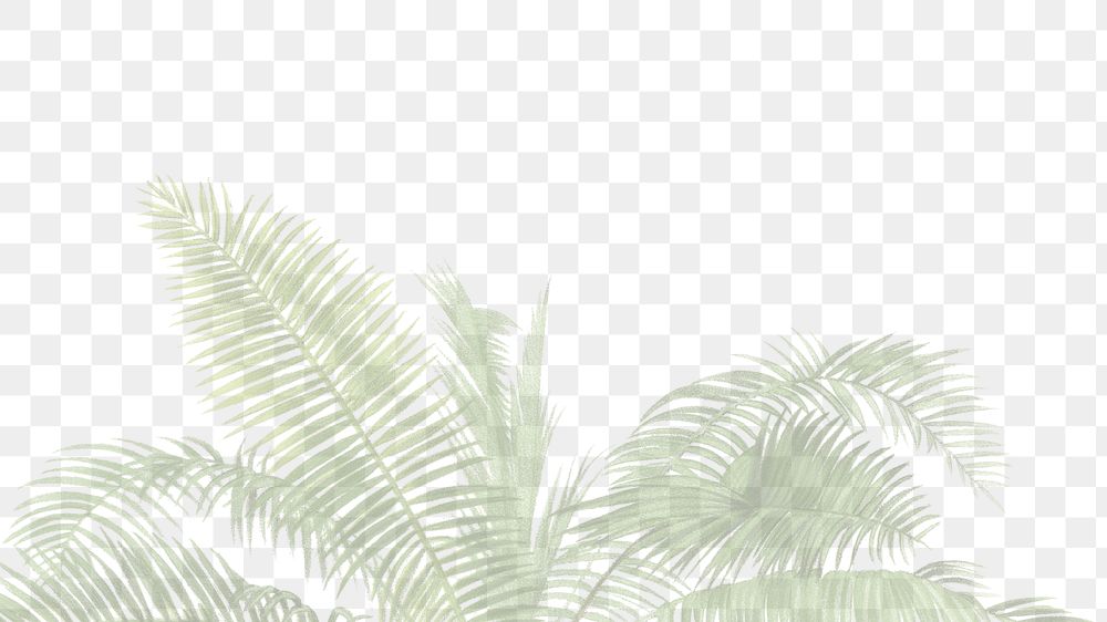 PNG Jungle border, transparent background