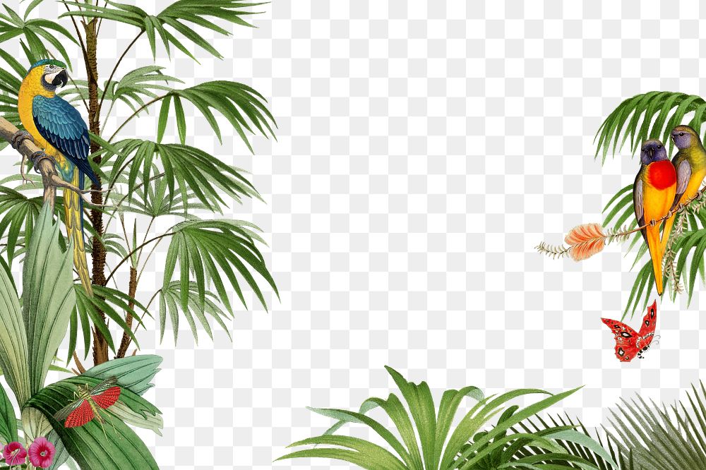 PNG Vintage jungle border, transparent background