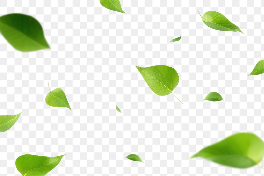 PNG Falling green leaf effect, transparent background