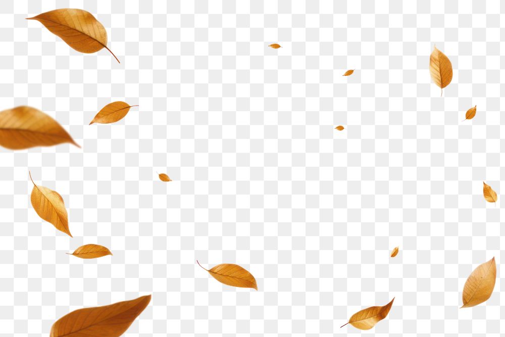 PNG Falling Autumn leaf effect, transparent background
