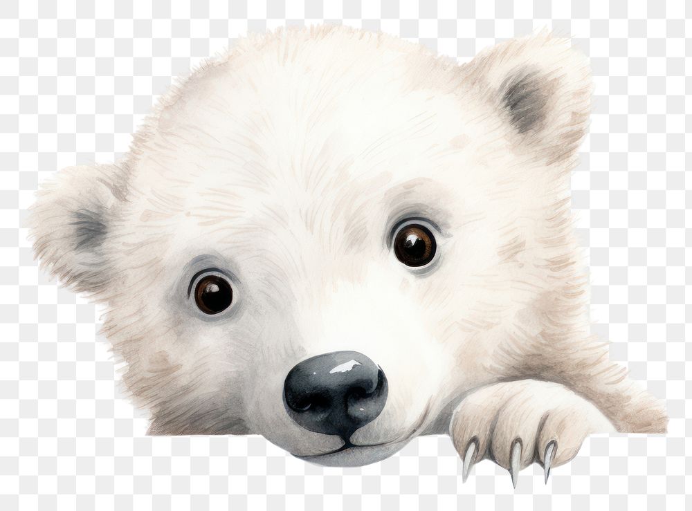 PNG Polar bear wildlife mammal animal. AI generated Image by rawpixel.