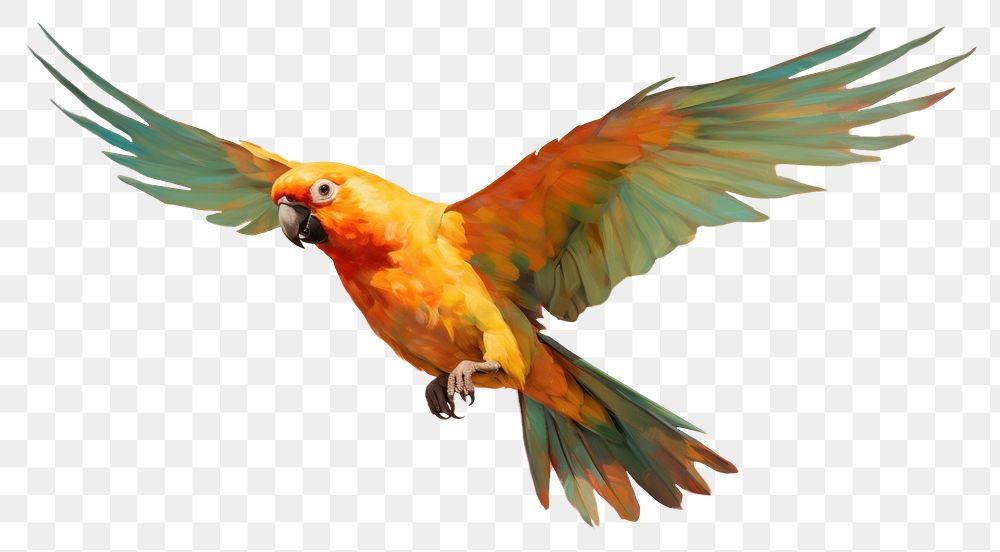 PNG Sunconure parrot flying painting animal bird. AI generated Image by rawpixel.