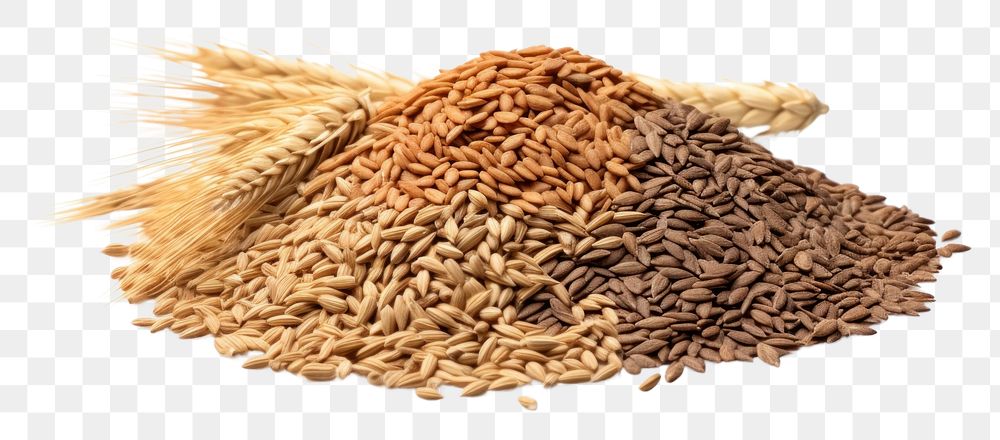 PNG  Dry grains wheat food seed. AI generated Image by rawpixel.
