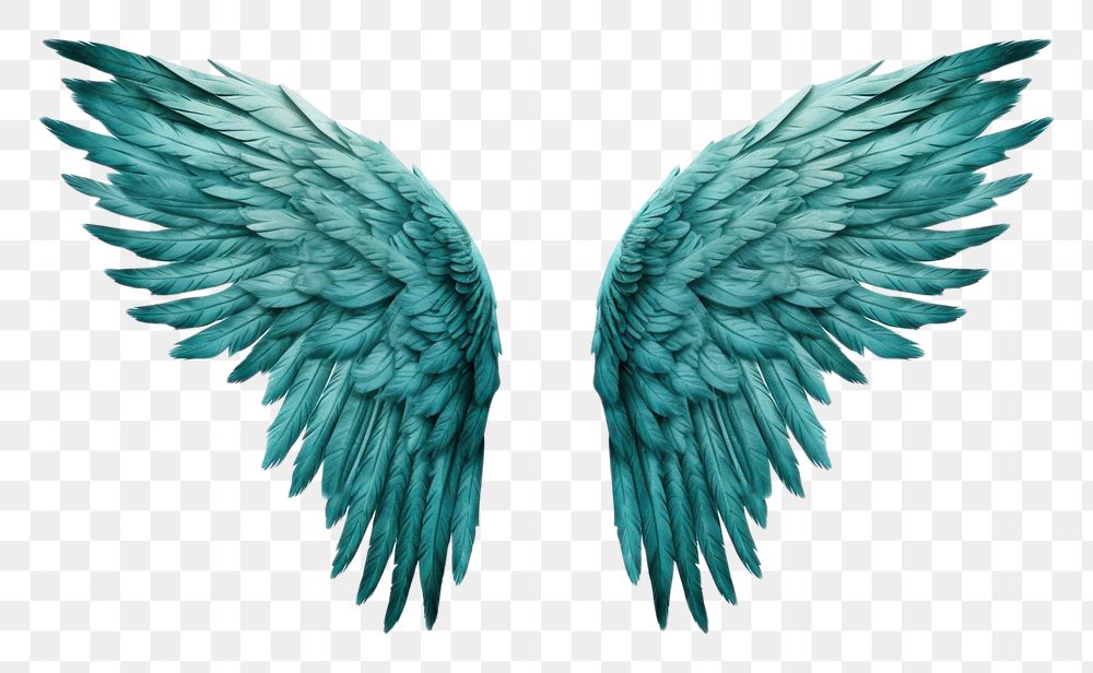 PNG  Teal feather angel wings turquoise bird white background. AI generated Image by rawpixel.