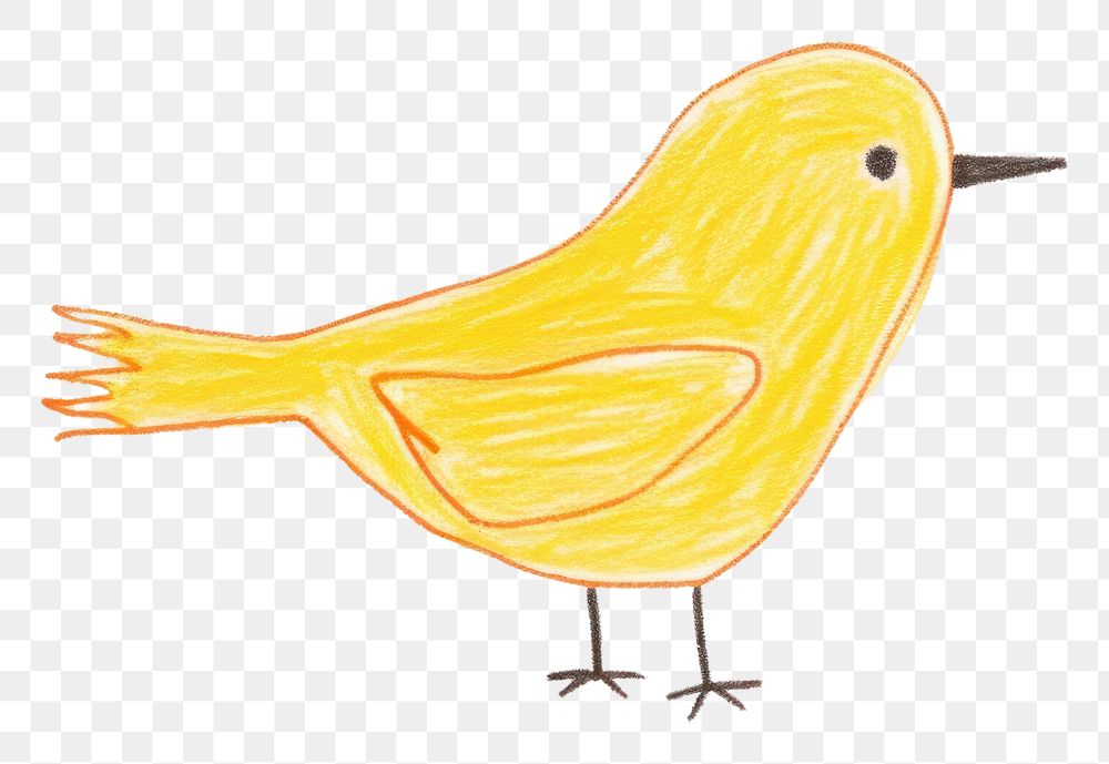 PNG  Bird drawing animal canary. AI generated Image by rawpixel.
