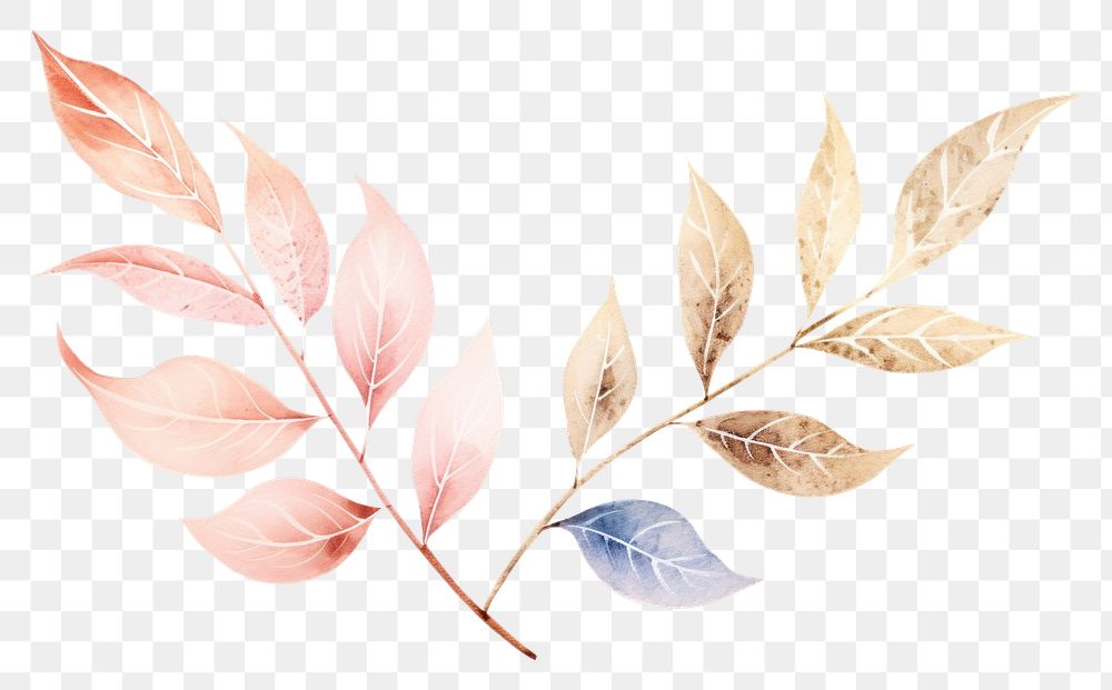 PNG Botanical leaf plant white background accessories. AI generated Image by rawpixel.