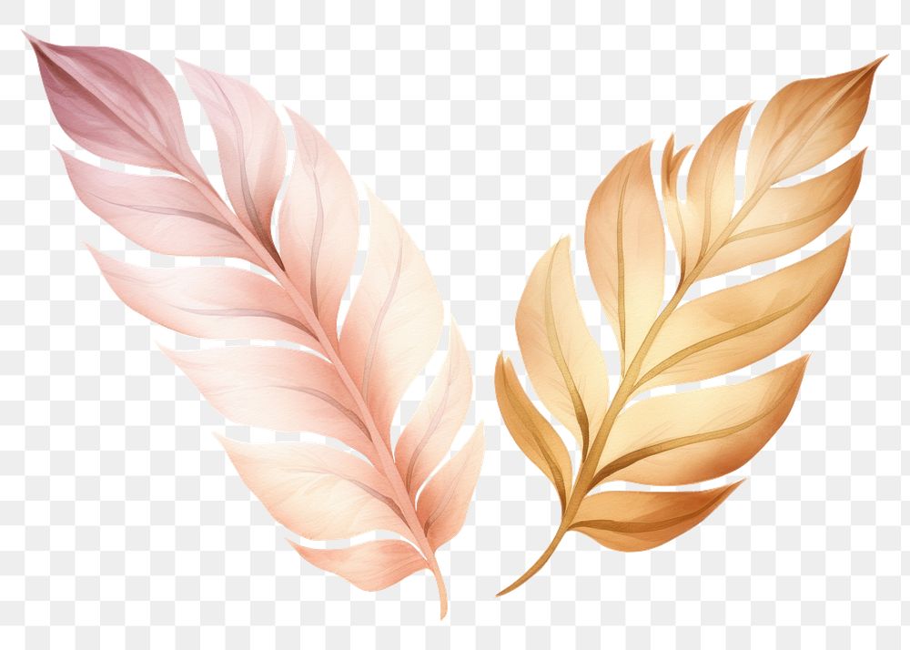 PNG Botanical leaf pattern plant white background. AI generated Image by rawpixel.