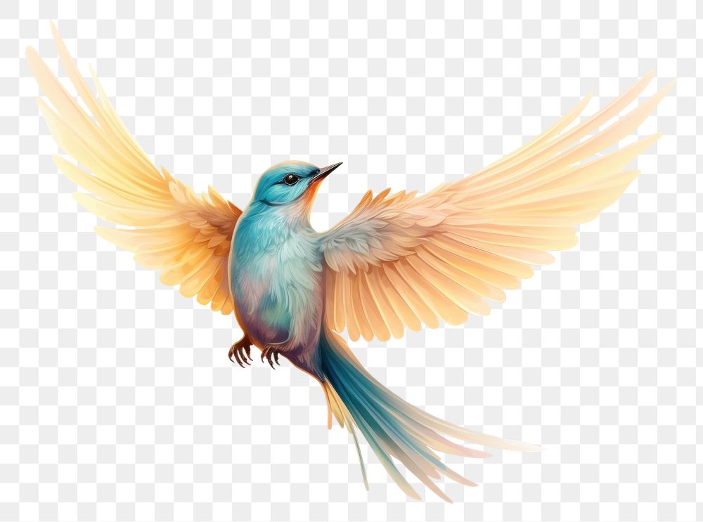 PNG Bird flying animal hummingbird wildlife. AI generated Image by rawpixel.