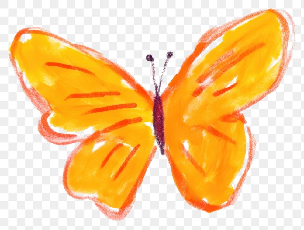 PNG  Butterfly drawing white background confectionery. AI generated Image by rawpixel.