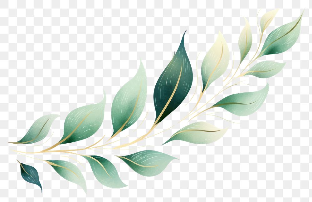 PNG Green leaf pattern plant white background. 