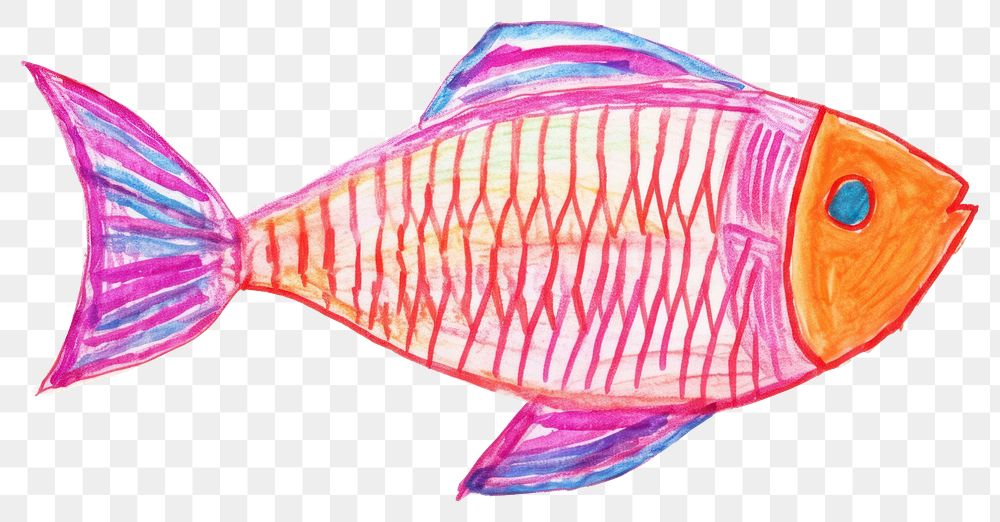 PNG  Fish drawing animal white background. AI generated Image by rawpixel.