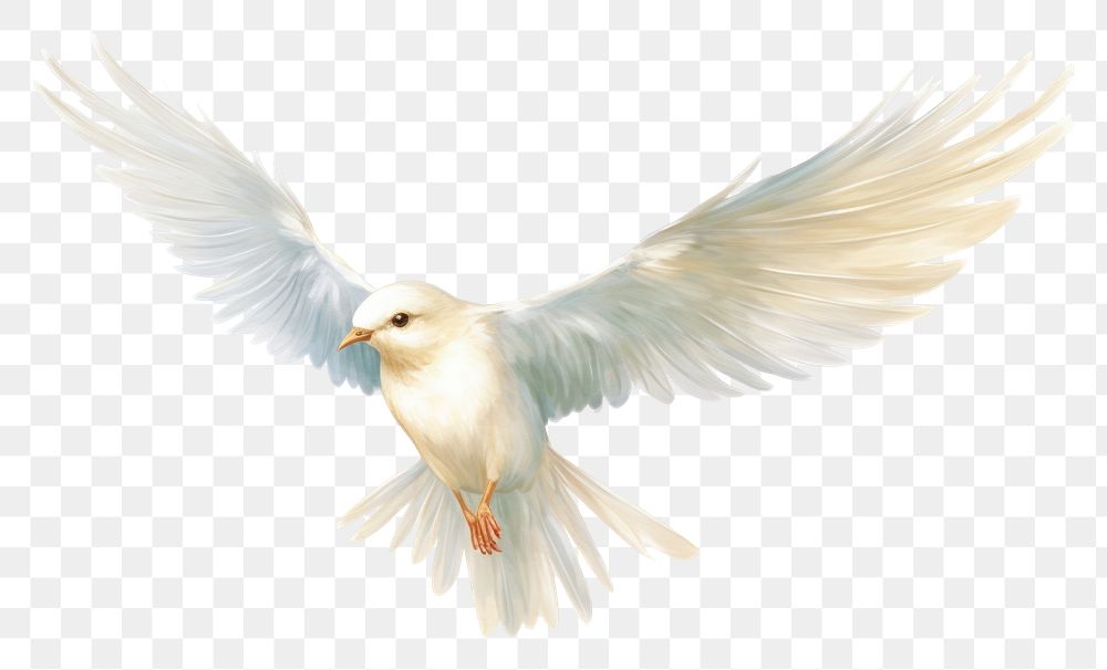 PNG White bird flying animal cockatoo wildlife. AI generated Image by rawpixel.