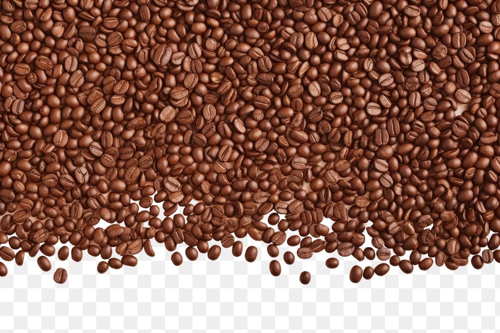 PNG  Coffee bean backgrounds freshness abundance. AI generated Image by rawpixel.