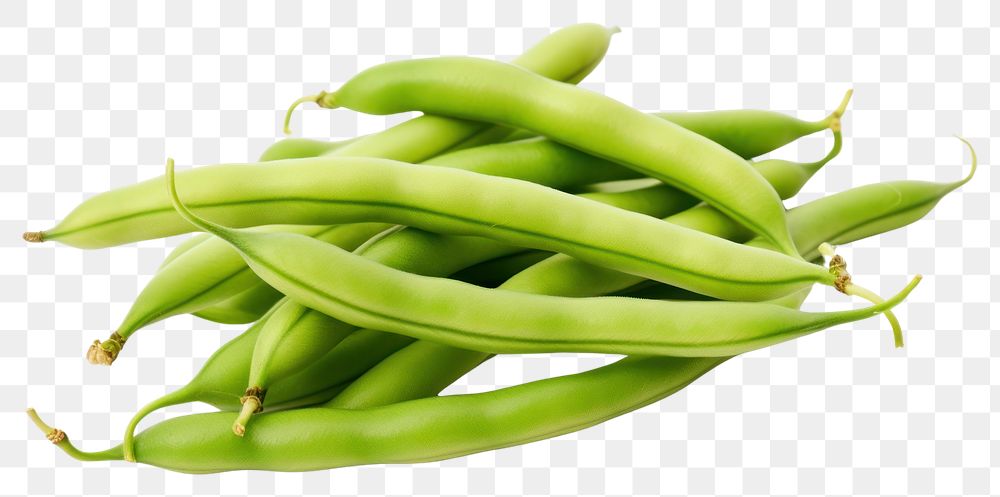 PNG Green bean vegetable plant food. AI generated Image by rawpixel.