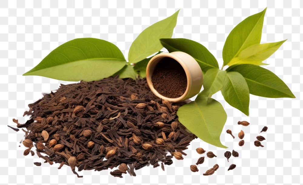 PNG  Fresh tea leaves and dry tea leaves spice plant white background. AI generated Image by rawpixel.