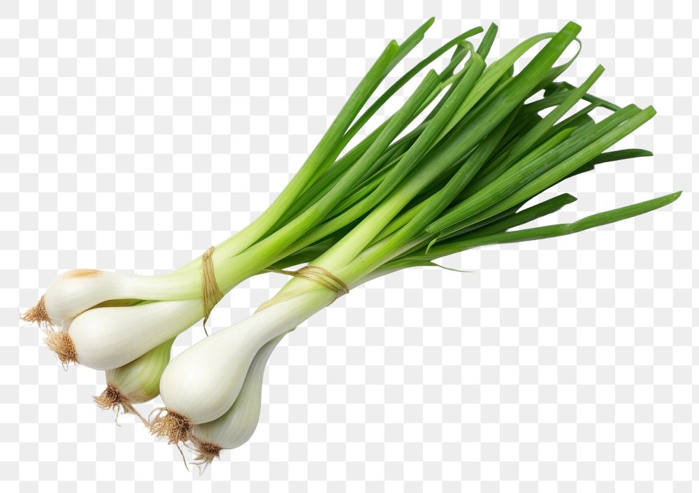 PNG  Japanese Scallion vegetable plant food. AI generated Image by rawpixel.