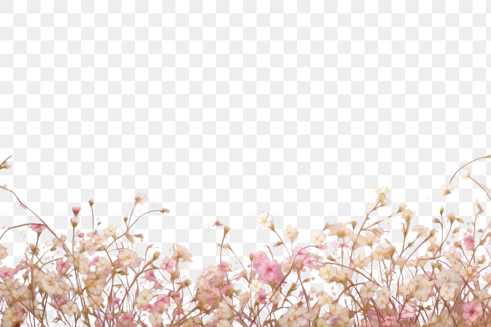 PNG Flower backgrounds outdoors blossom. AI generated Image by rawpixel.
