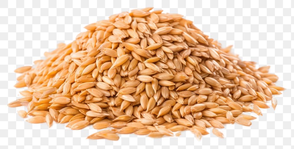 PNG  Farro hulled wheat food seed white background. 