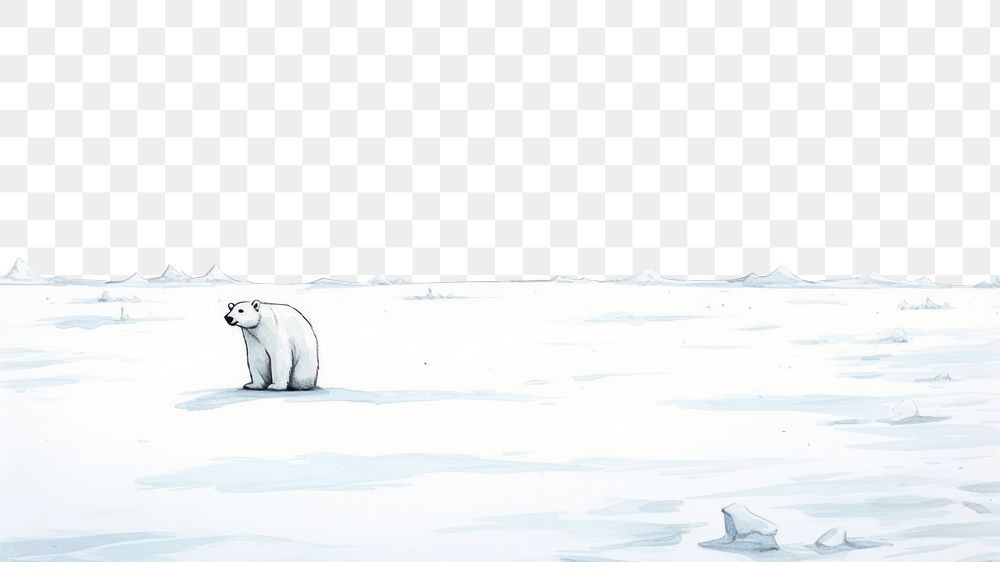 PNG Polar bear and snow cartoon sketch mammal. AI generated Image by rawpixel.