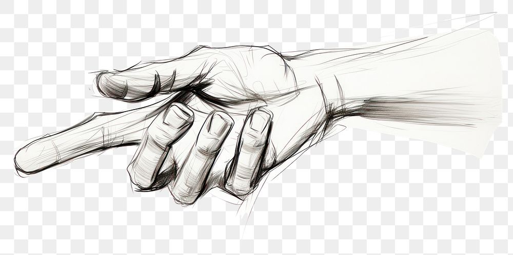 PNG Hand sketch details drawing art white background. AI generated Image by rawpixel.