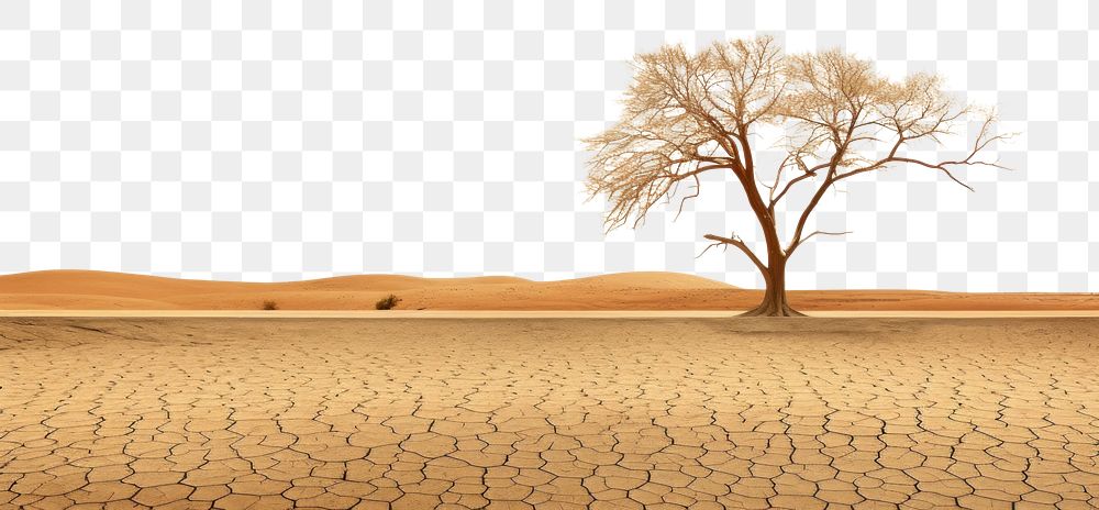 PNG Dramatic empty scene of arid land or drought soil with old tress landscape outdoors nature. AI generated Image by…