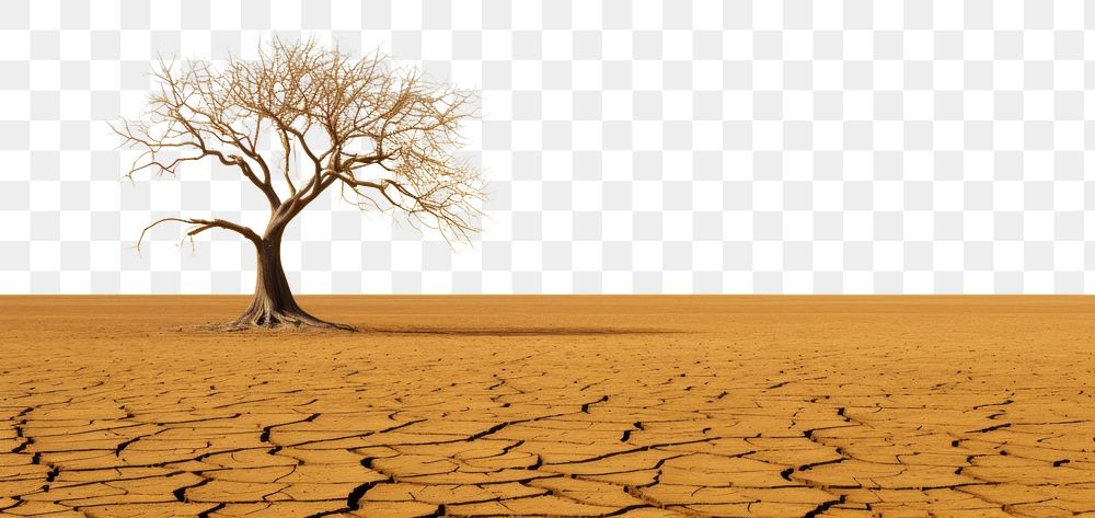 PNG Dramatic empty scene of arid land or drought soil with old tress outdoors horizon nature. AI generated Image by rawpixel.