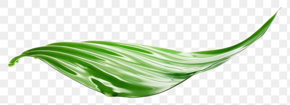 PNG Palm leaves plant green leaf. AI generated Image by rawpixel.