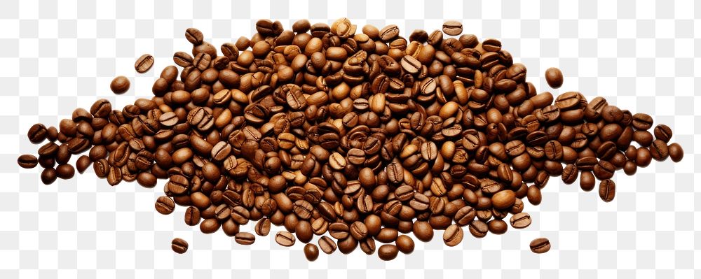 PNG Coffee bean white background coffee beans freshness. AI generated Image by rawpixel.