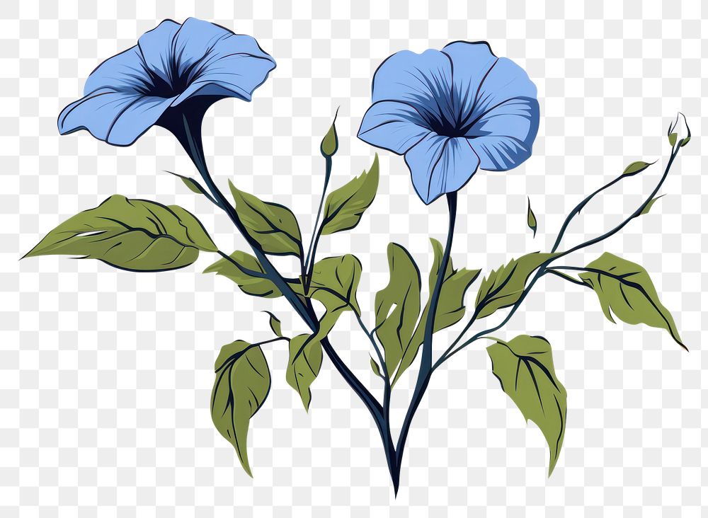 PNG  Blue Ipomoea cover on skeleton drawing flower sketch. AI generated Image by rawpixel.