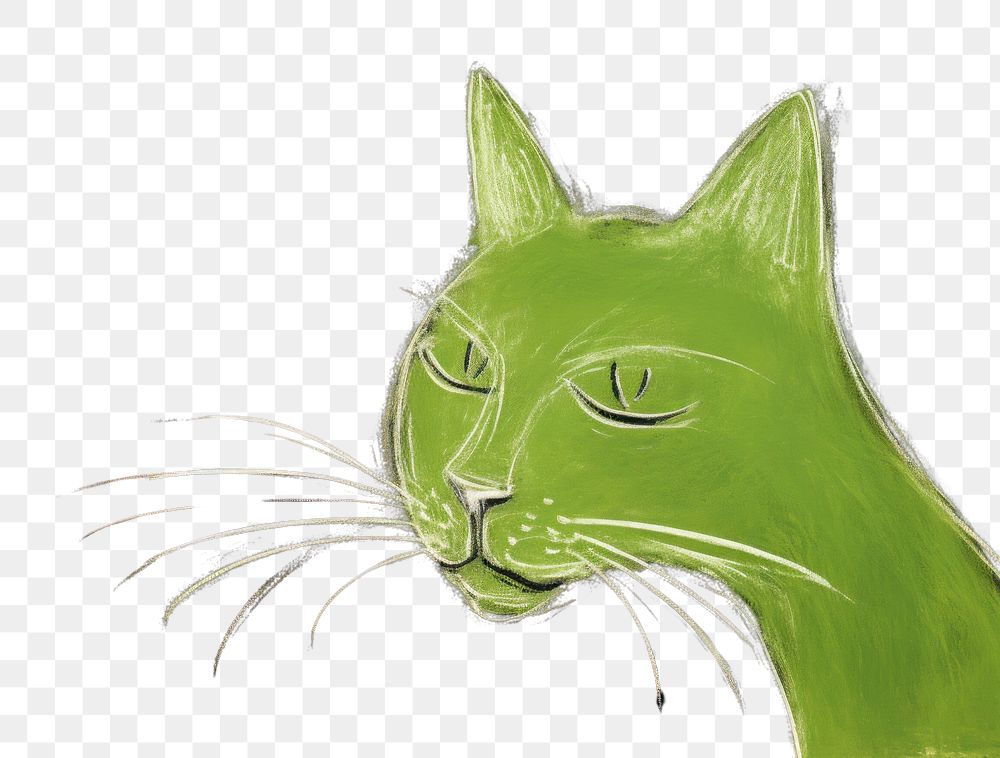 PNG Cat green animal mammal. AI generated Image by rawpixel.