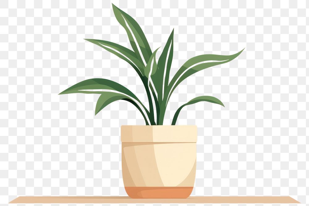 PNG Houseplant leaf floristry flowerpot. AI generated Image by rawpixel.